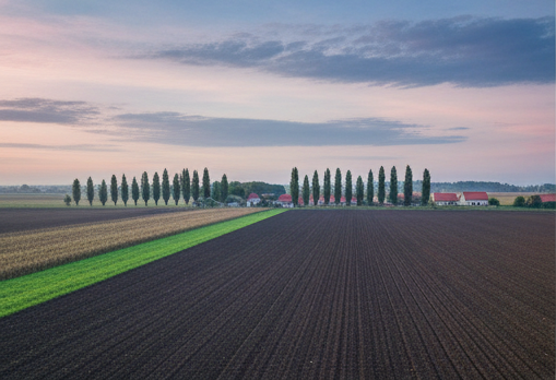 Cultivated fields with a distinct row of trees